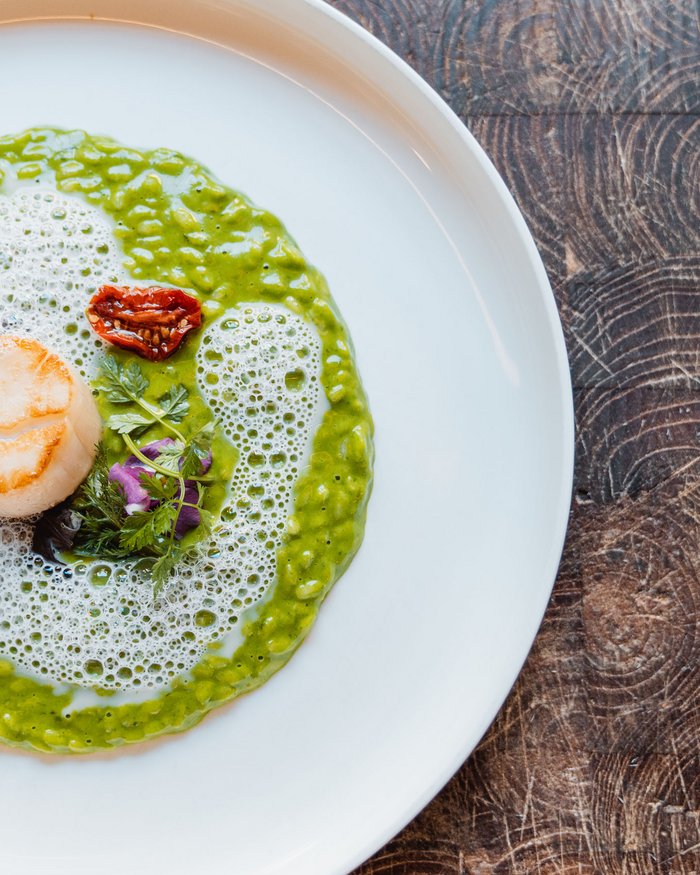 Grünes Risotto mit Jakobsmuschel und Schaum auf weißem Teller