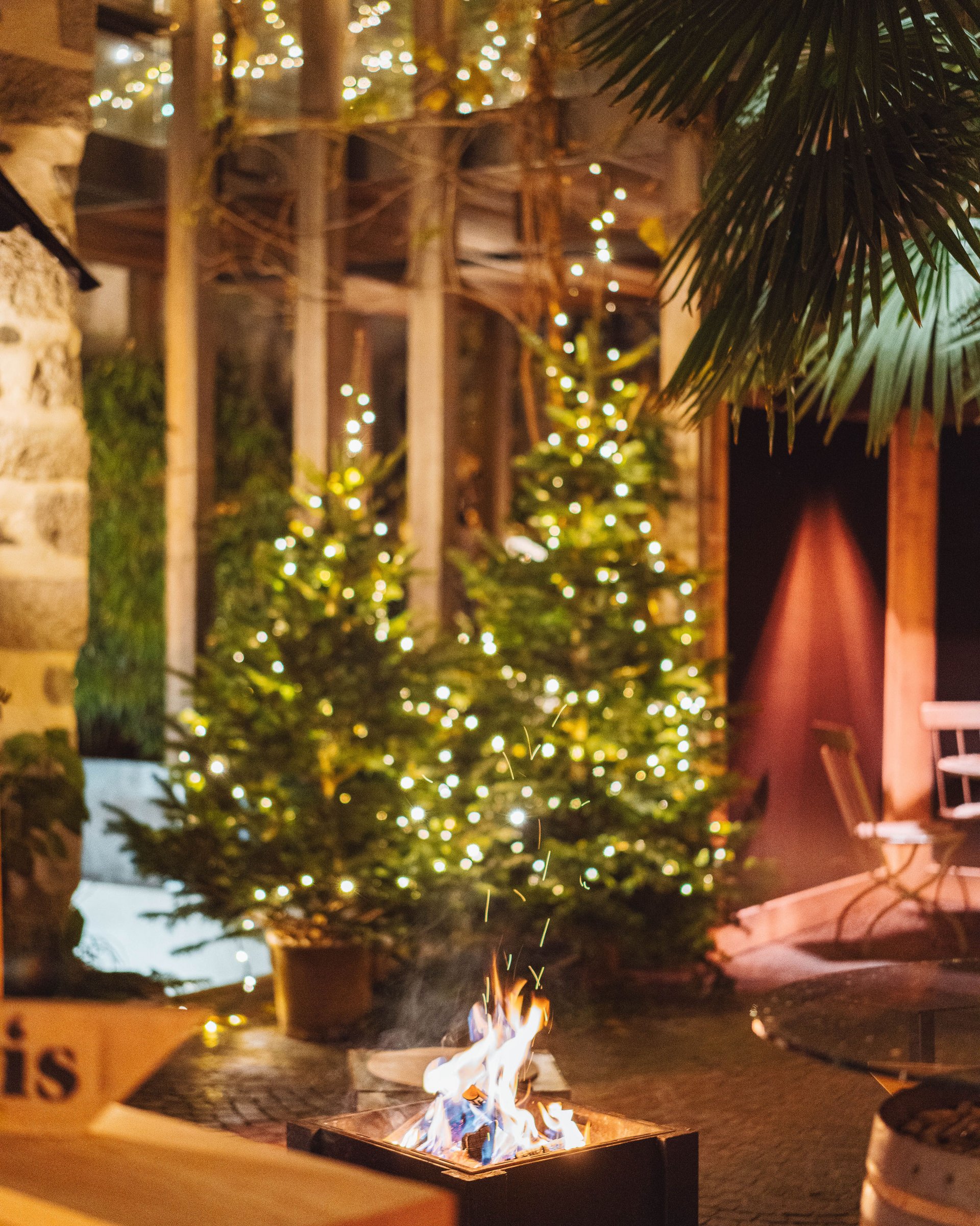 Fire pit in front of lit Christmas trees in a cozy outdoor setting