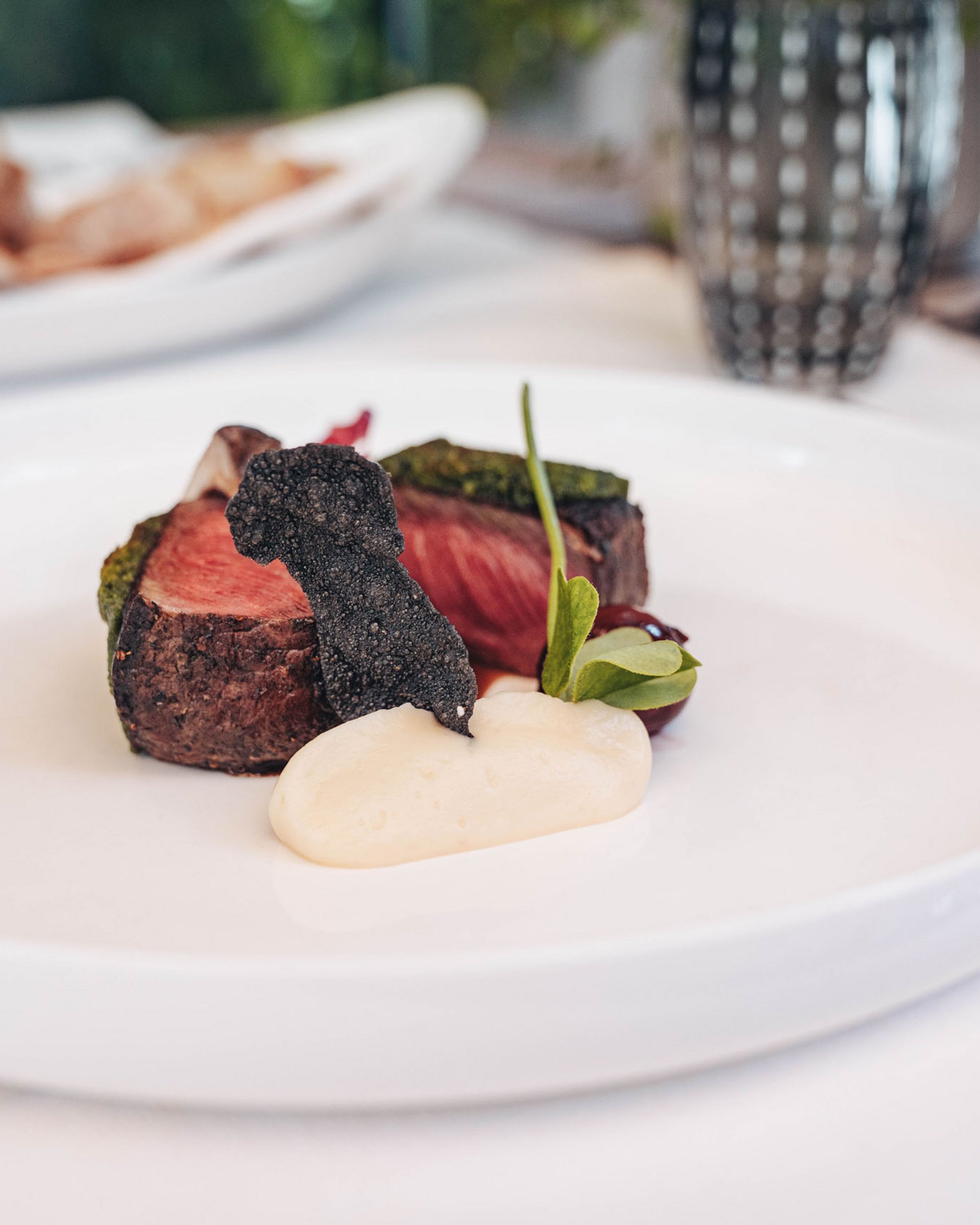 Gourmet dish with medium-cooked meat, black truffle and sauce on white plate